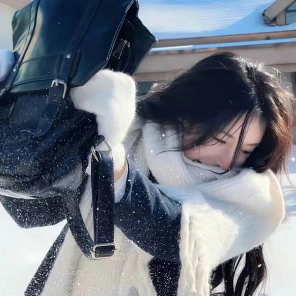 进阶的王妃